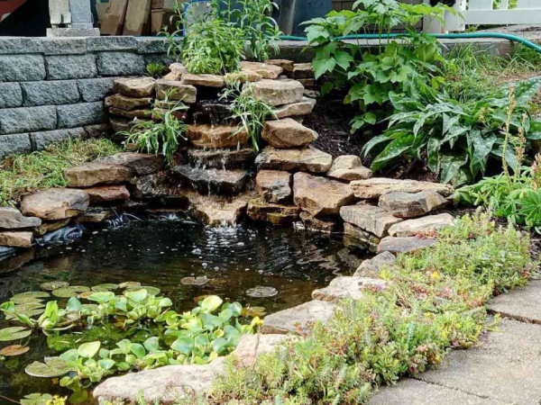 Taman dengan kolam mini dan air terjun kecil